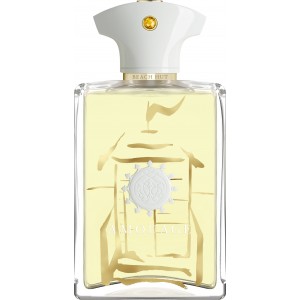 Amouage Beach Hut EDP 100ml Erkek Tester Parfüm